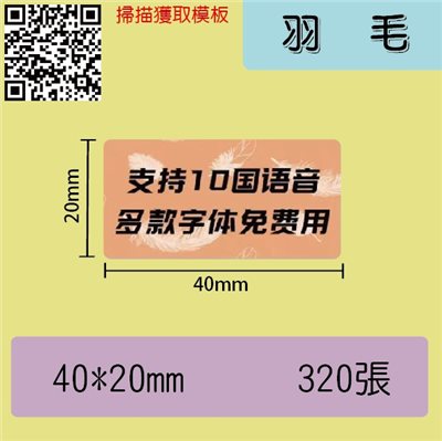 花色貼紙 -羽毛40*20